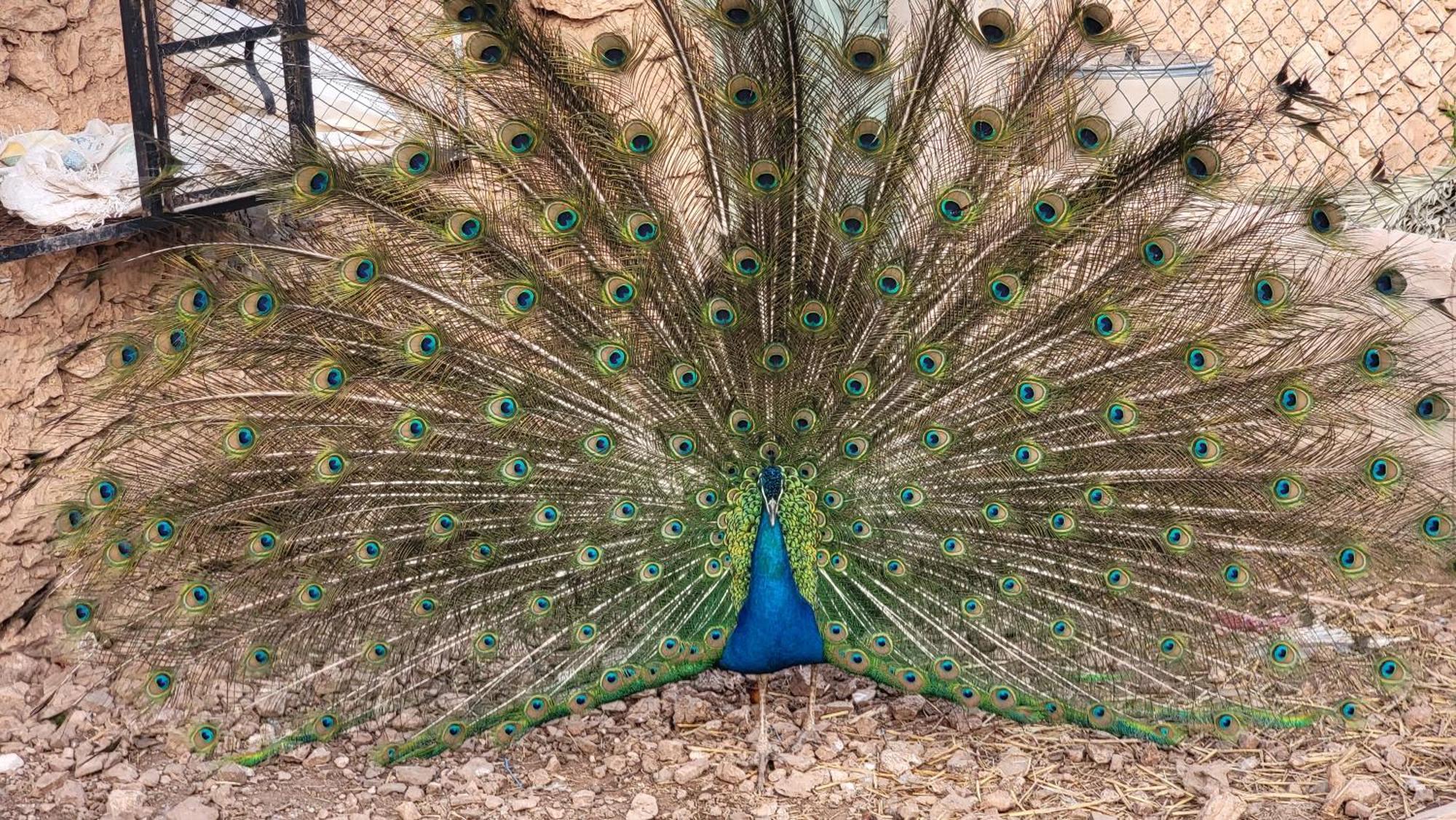 Dar Ez-Zine Villa Ounara Dış mekan fotoğraf