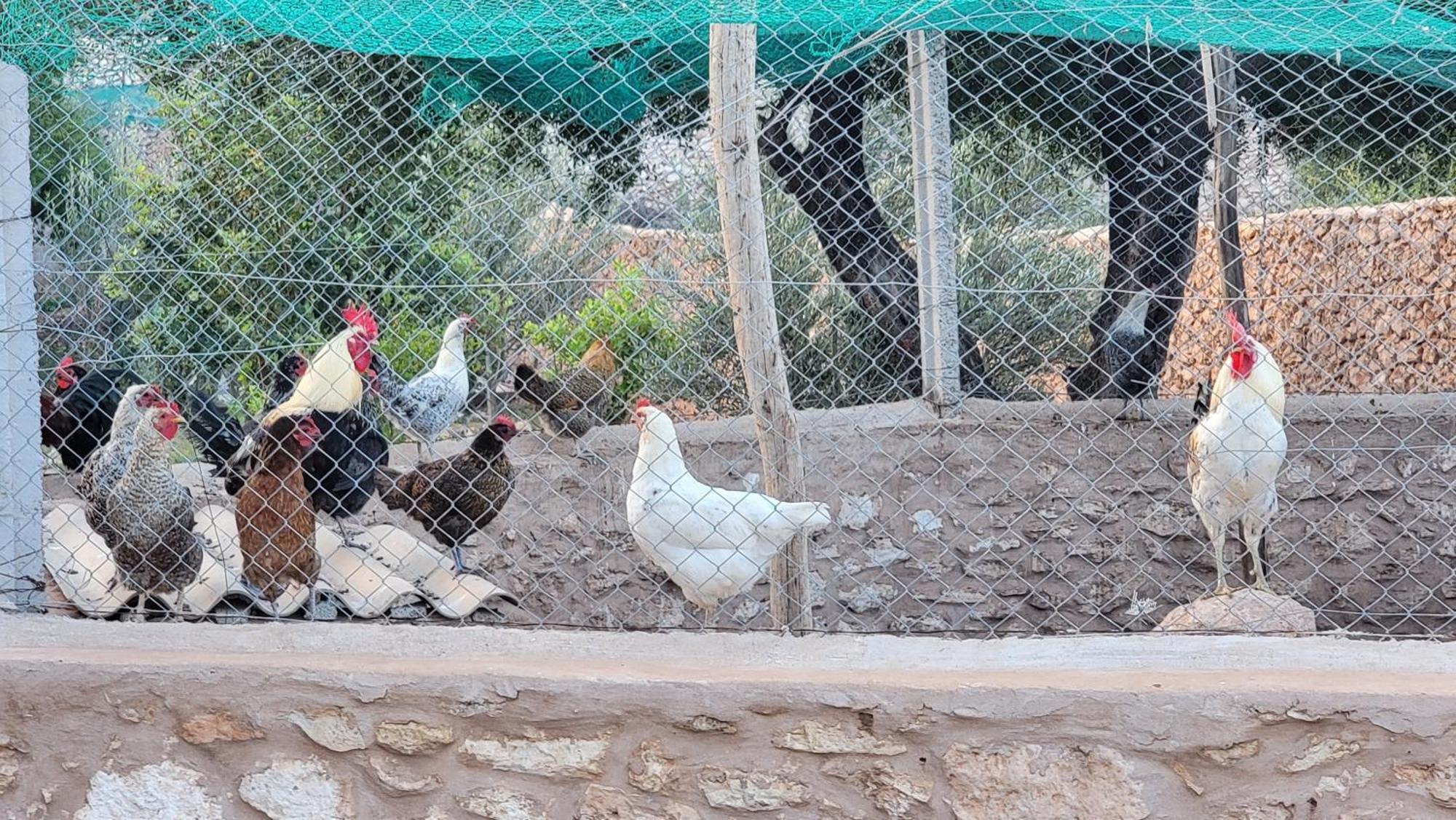Dar Ez-Zine Villa Ounara Dış mekan fotoğraf