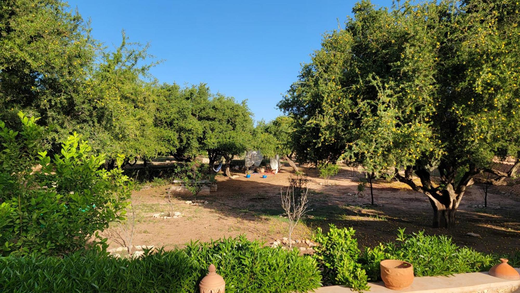 Dar Ez-Zine Villa Ounara Dış mekan fotoğraf