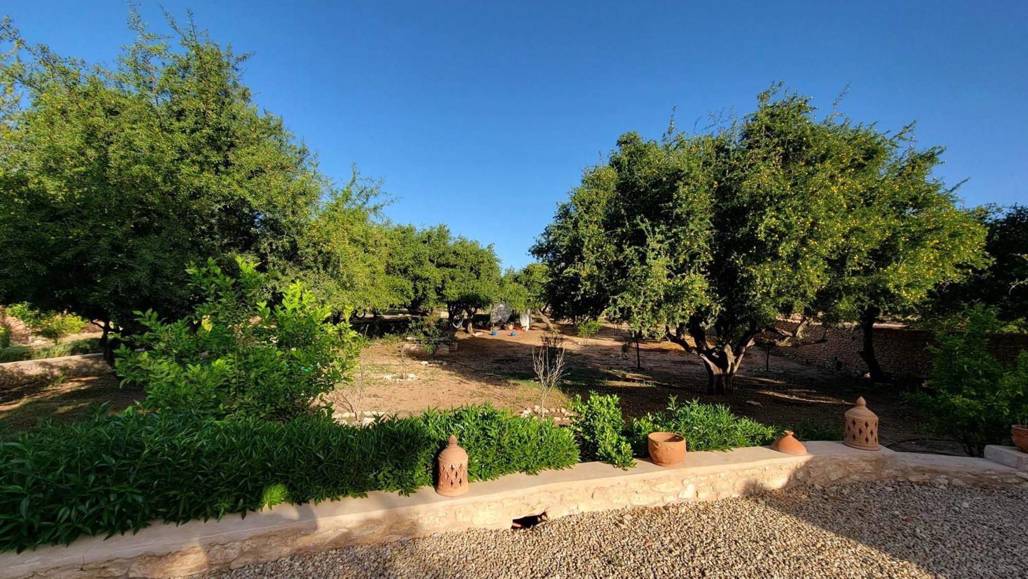 Dar Ez-Zine Villa Ounara Dış mekan fotoğraf