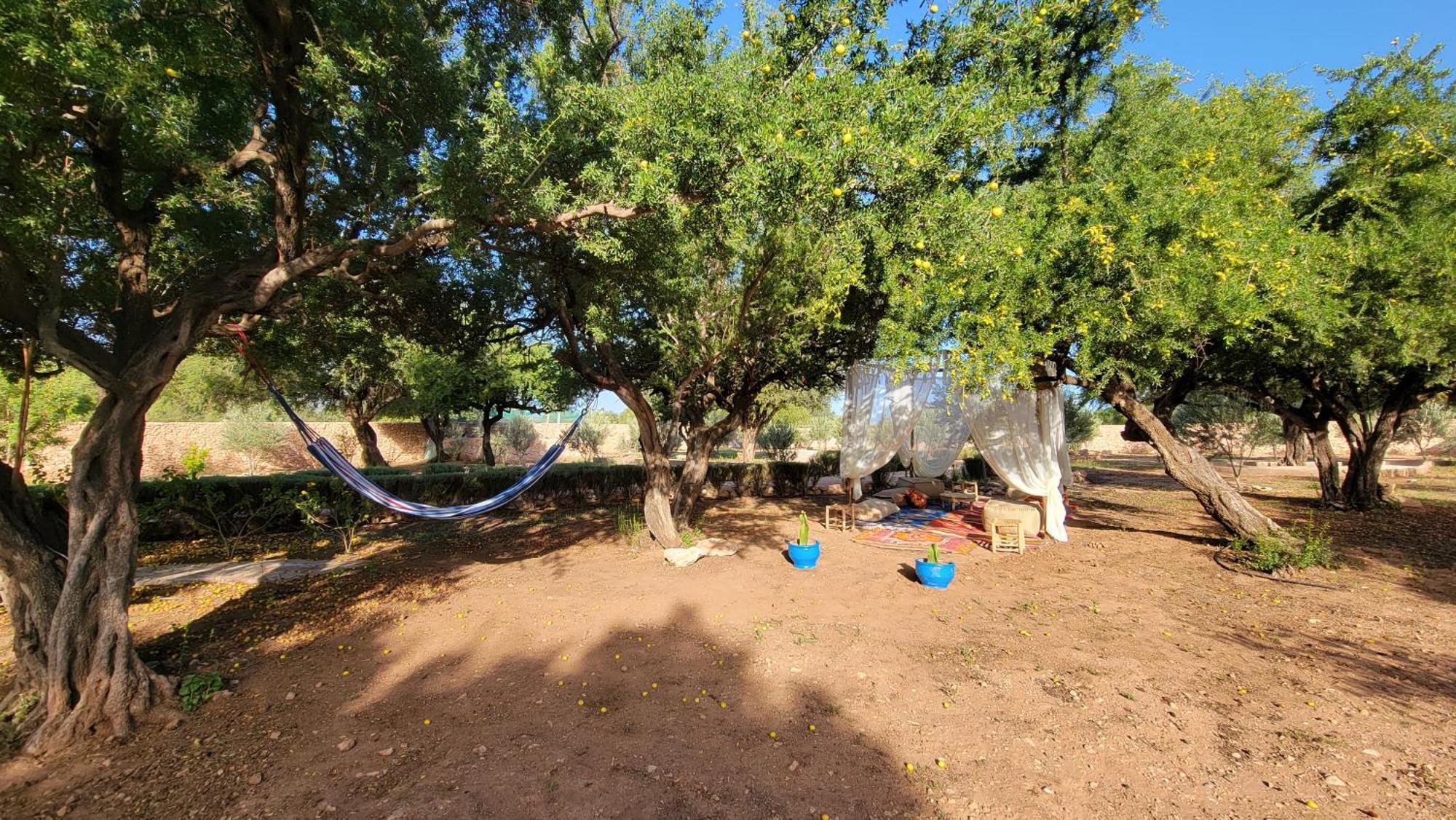 Dar Ez-Zine Villa Ounara Dış mekan fotoğraf